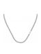 Sector Men's Steel Neck Chain Length 55cm