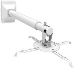 Focus Mount Βάση Projector Τοίχου PMCT-62110