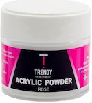 Trendy Color Cosmetics Acrylic Powder Pink