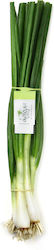 Fresh Spring Onion Bunch Aroma 140 gr