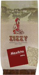 Sissynuts Mahleb in Pulverform 50gr MPXQ37-1