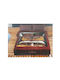 National Geographic Africa 001 Velvet Blanket Single 160x240cm Multicolour