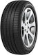 Minerva F205 275/30R19 96Y XL Θερινό Λάστιχο για Επιβατικό Αυτοκίνητο