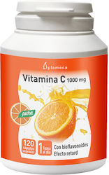 Full Health Βιταμίνη C 500mg 120 κάψουλες Full Health Βιταμίνη C 500mg 120 κάψουλες