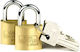 Burg Wachter Bronze Padlock Brass with Key 30mm 2pcs