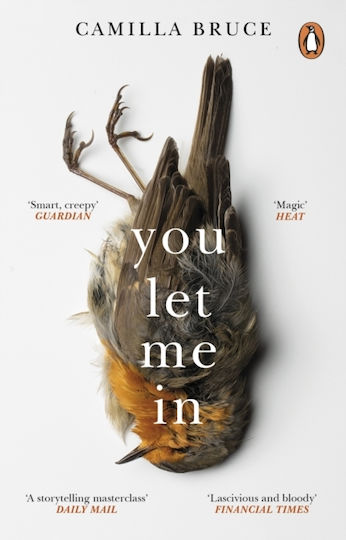 You Let Me In: The Acclaimed, Unsettling Novel Of Haunted Love, Revenge And The Nature Of Truth Camilla Bruce