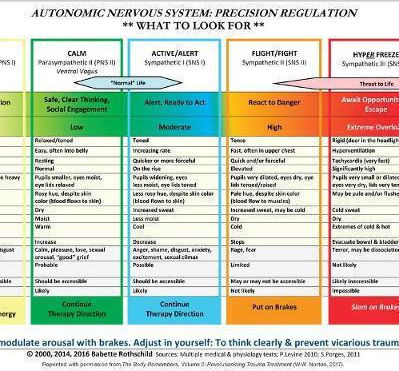 Autonomic Nervous System Table: Laminated Card Babette Rothschild Cards 2017