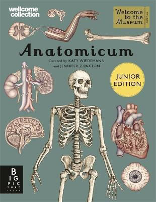 Big Picture Press Anatomicum Junior Jennifer Z Paxton