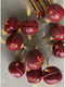 Iliadis Christmas Garland Red 155x4cm 1pc