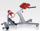 Viking Adjustable Workout Bench Dorsal