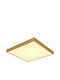 Globo Lighting Draußen LED Panel 22W