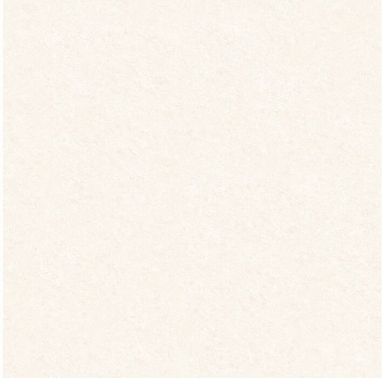 Panthermica Fliese Boden / Wand Innenbereich 160x120cm Tropic White