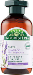 Antica Erboristeria Lavanda 250ml