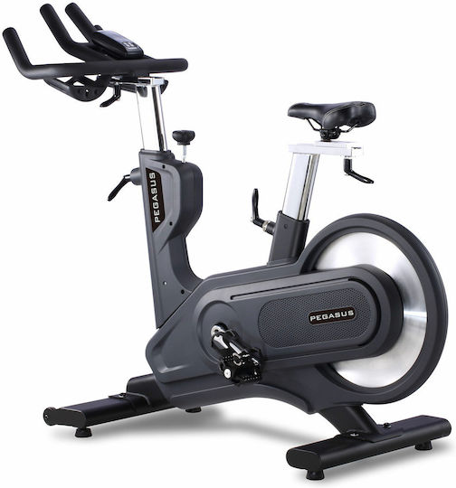 Pegasus S12 V3 Ποδήλατο Spinning Μαγνητικό