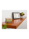 Shelf Wall Brown 80x24x5cm