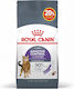 Royal Canin Appetite Control Care Ξηρά Τροφή για Στειρωμένες Γάτες με Ευαίσθητο Ουροποιητικό 2kg