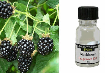 Ancient Wisdom Aromatisches Öl Raspberry 10ml 1Stück