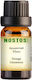 Nostos Pure Aromatic Oil Orange-Cinnamon 10ml