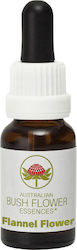 Australian Bush Flower Essences Aromatisches Öl 15ml 1Stück