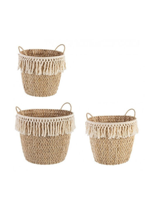 Wicker Decorative Basket Bizzotto