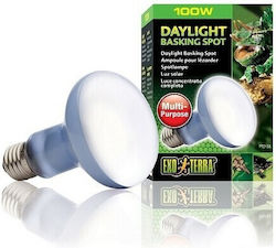 Exo Terra Basking Spot 100w Lamp for Reptile Terrarium Exo Terra Basking Spot 100w Lamp for Reptile Terrarium
