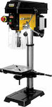 Femi Pro Benchtop Drill Press Digimax with 500 Watt Power