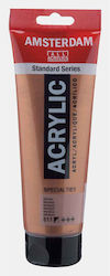 Royal Talens Amsterdam Acrylic Paint Set Bronze...