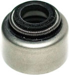 Centauro Valves Seal