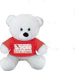 Dorosimo Plush Bear