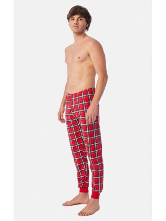 Minerva Plaid Red