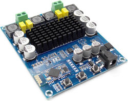 Audio Amplifier (XH-M548)