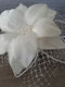 Bridal Quaff