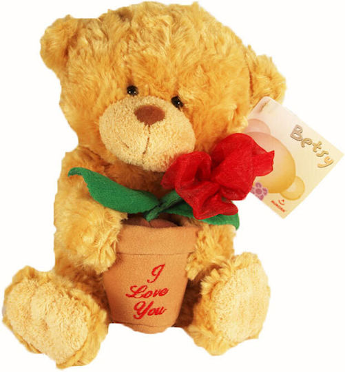 Plüschbär Valentinstag 20 cm