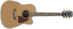 Ibanez Semi-Acoustic Guitar Natural