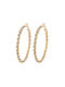 Earrings Hoops Gold Plated