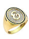 Damen Chevalier Ring mit Zirkonia aus Gold 9K
