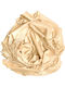 Gift-Me Women's Scarf Beige