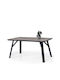 Titan Tisch Speisesaal Holz mit Metallgestell 160x90x75cm