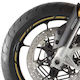 Moto Discovery Adhesive Rim Tape Gold
