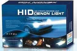 Xenon Beleuchtungsset H1 55W 24V 6000K Kaltes Weiß