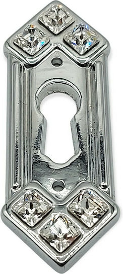 Rosette - Door Escutcheon Furniture Silver
