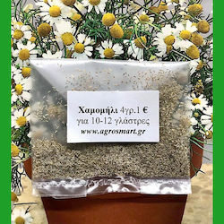 Seeds Chamomile 4gr