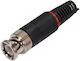 BNC male Connector 1pc