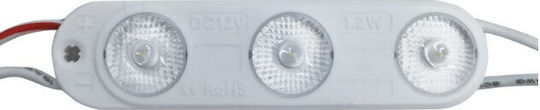 LED Module 12V 1.2W Cool White Piece 11105-050-CW