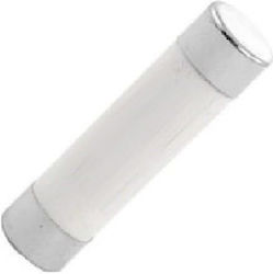 Safety Cylindrical Porcelain (17101532) 1pcs