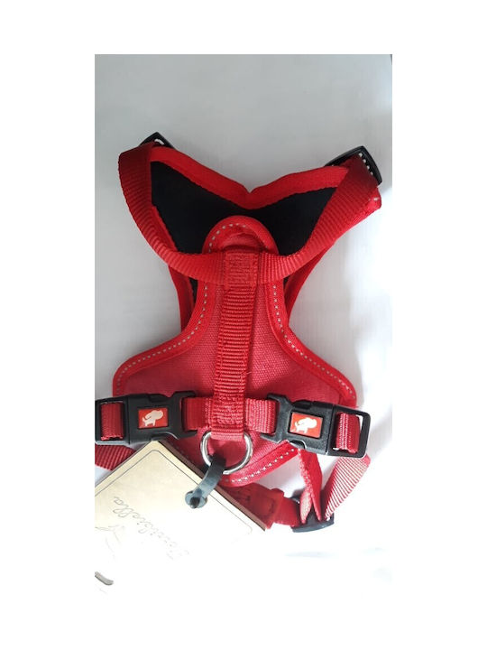 Ferribiella Dog Harness Cesare Pink