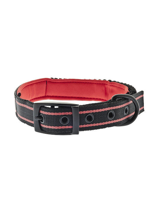 Ferribiella Dog Collar Red