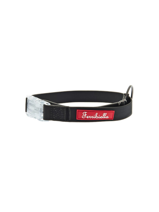 Ferribiella Hundehalsband in Orange Farbe