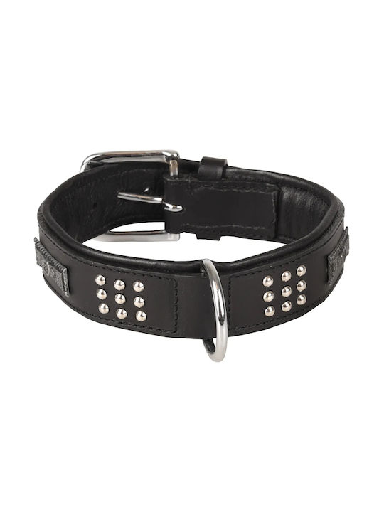 Flamingo Dog Collar XLarge Black