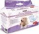 Record Dog Panties Large 70 - 70cm 12pcs
